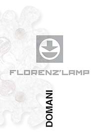 Скачать каталог FLORENZ_LAMP_2012_domani.pdf. Торговая марка Florenz lamp