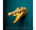 Werner Voss 51616 Alberto Aligtore gold настенный  светильник крокодил