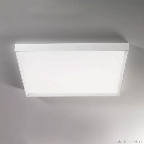 Linea Light 9024 светильник настенно-потолочный